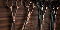 Best Professional Hair Cutting Shears Reviews and Ultimate Guide